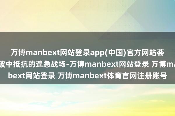 万博manbext网站登录app(中国)官方网站荟萃空间依然成为地区突破中抵抗的遑急战场-万博manbext网站登录 万博manbext体育官网注册账号