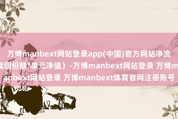 万博manbext网站登录app(中国)官方网站净流出4864.80万元（净赎回份额*单元净值）-万博manbext网站登录 万博manbext体育官网注册账号
