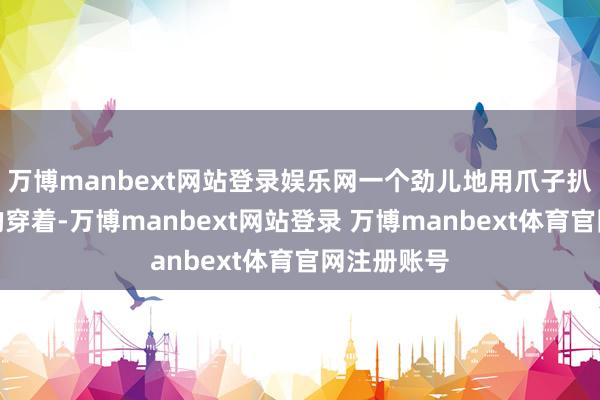 万博manbext网站登录娱乐网一个劲儿地用爪子扒拉一又友的穿着-万博manbext网站登录 万博manbext体育官网注册账号