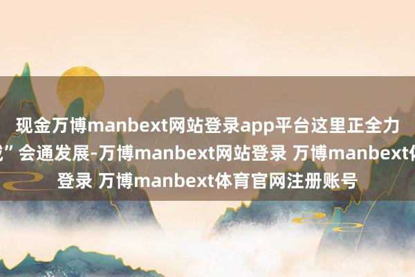 现金万博manbext网站登录app平台这里正全力激动“港、区、城”会通发展-万博manbext网站登录 万博manbext体育官网注册账号